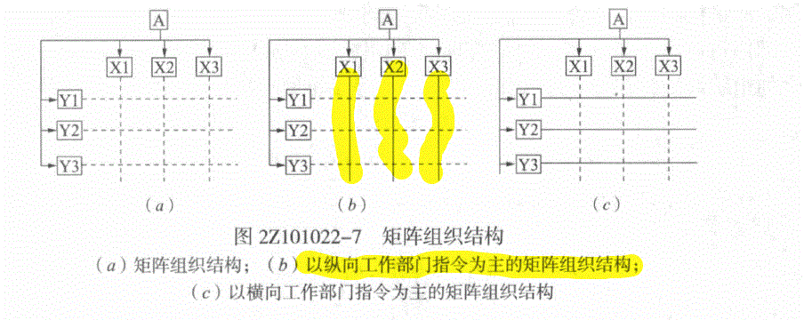 矩陣組織